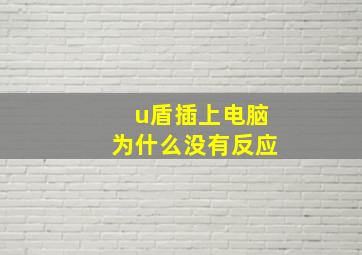 u盾插上电脑为什么没有反应