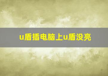 u盾插电脑上u盾没亮