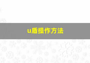 u盾操作方法