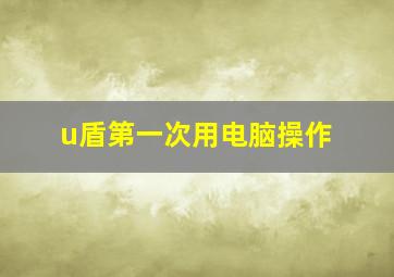 u盾第一次用电脑操作