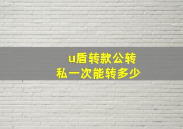 u盾转款公转私一次能转多少