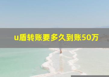 u盾转账要多久到账50万