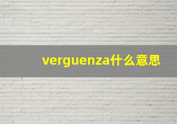 verguenza什么意思