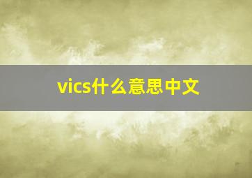 vics什么意思中文