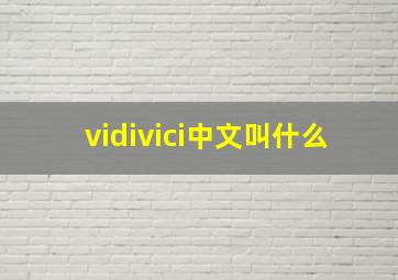 vidivici中文叫什么