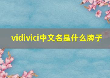 vidivici中文名是什么牌子