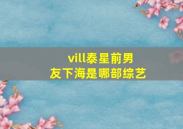 vill泰星前男友下海是哪部综艺