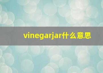 vinegarjar什么意思