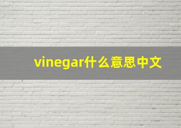 vinegar什么意思中文