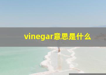 vinegar意思是什么