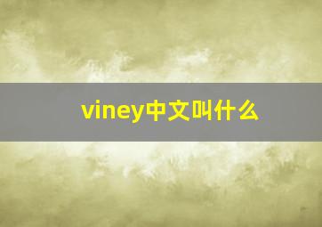 viney中文叫什么