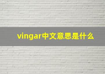 vingar中文意思是什么