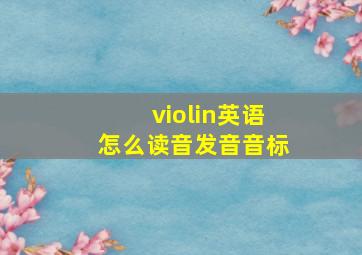 violin英语怎么读音发音音标