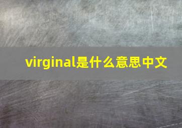 virginal是什么意思中文