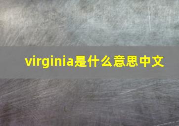 virginia是什么意思中文