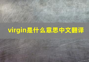 virgin是什么意思中文翻译