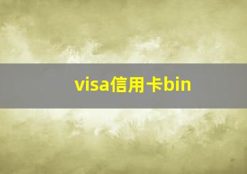 visa信用卡bin