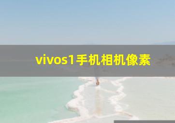 vivos1手机相机像素