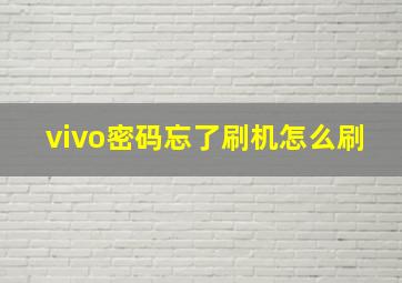 vivo密码忘了刷机怎么刷