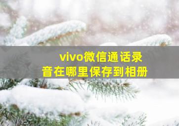 vivo微信通话录音在哪里保存到相册