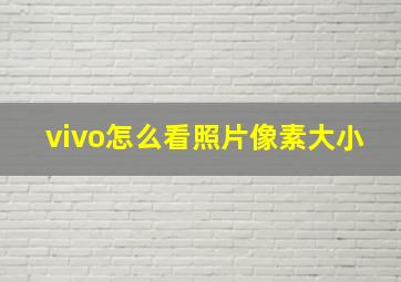 vivo怎么看照片像素大小