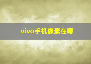 vivo手机像素在哪