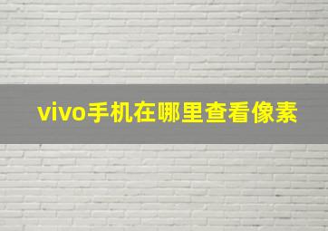 vivo手机在哪里查看像素