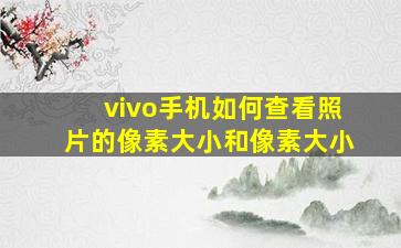 vivo手机如何查看照片的像素大小和像素大小