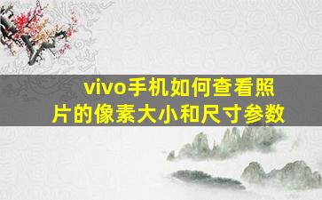 vivo手机如何查看照片的像素大小和尺寸参数