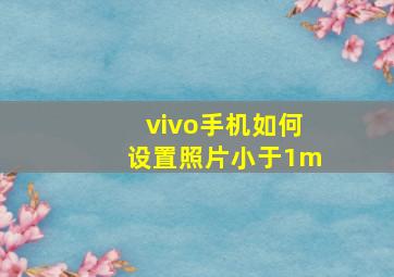 vivo手机如何设置照片小于1m