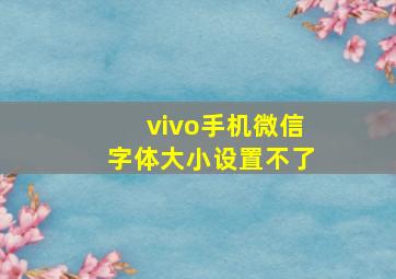 vivo手机微信字体大小设置不了