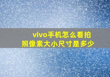 vivo手机怎么看拍照像素大小尺寸是多少