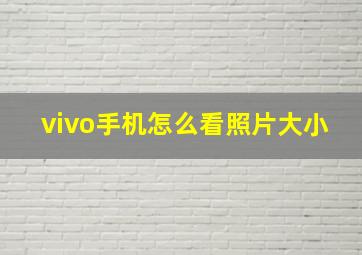 vivo手机怎么看照片大小