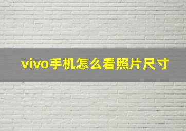 vivo手机怎么看照片尺寸