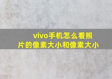 vivo手机怎么看照片的像素大小和像素大小