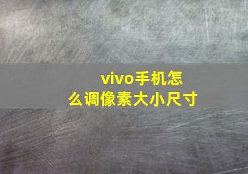 vivo手机怎么调像素大小尺寸