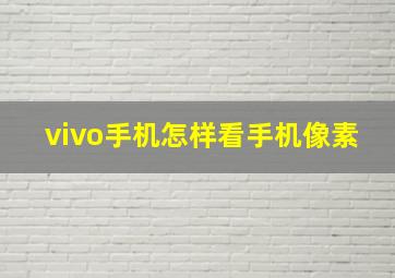 vivo手机怎样看手机像素