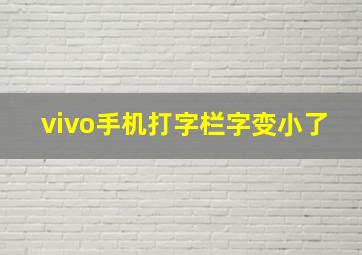 vivo手机打字栏字变小了