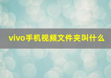 vivo手机视频文件夹叫什么