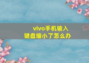 vivo手机输入键盘缩小了怎么办