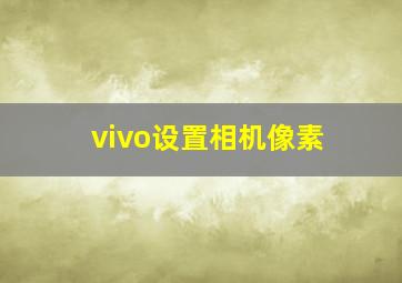 vivo设置相机像素