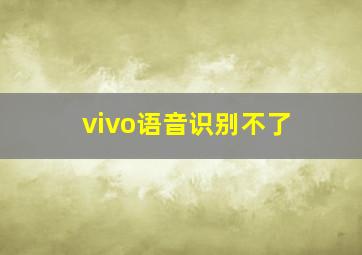 vivo语音识别不了