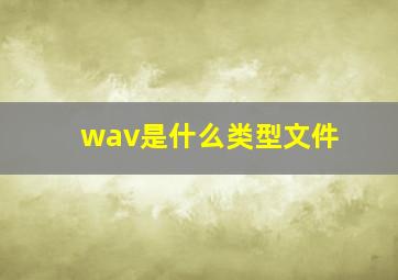 wav是什么类型文件