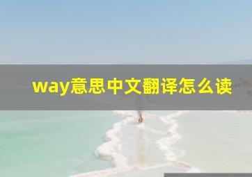 way意思中文翻译怎么读