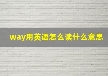 way用英语怎么读什么意思