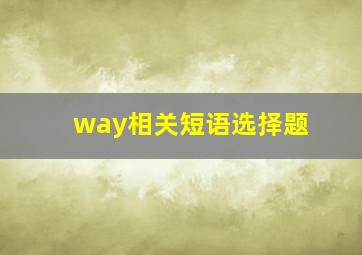 way相关短语选择题