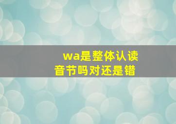 wa是整体认读音节吗对还是错