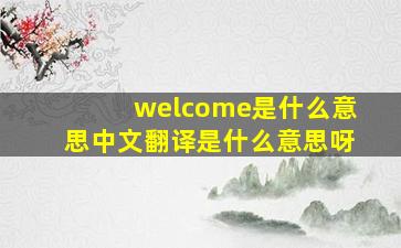 welcome是什么意思中文翻译是什么意思呀