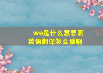 we是什么意思啊英语翻译怎么读啊