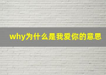 why为什么是我爱你的意思